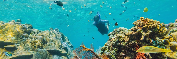 Snorkeling Underwater Photo