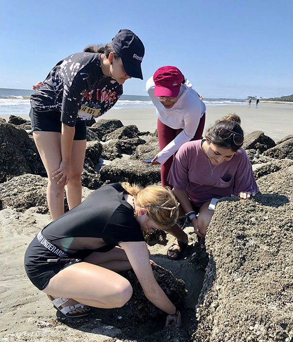 Students searching in tidal pools